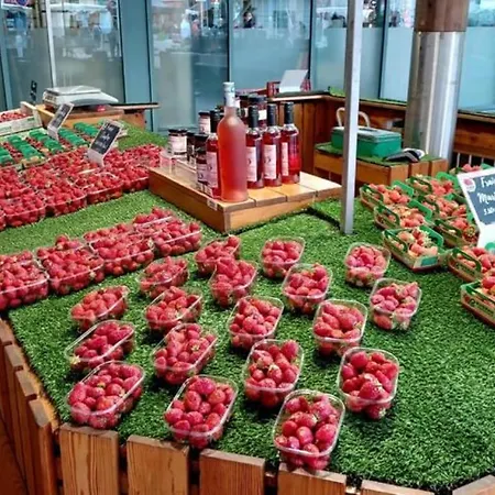 Petit Nid Au Cœur De Terrasse Et Piscine